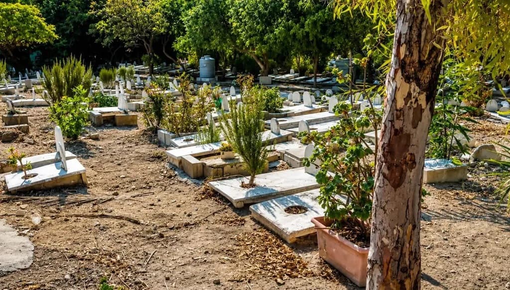 Military halts grave-robbery at Sidon Cemetery