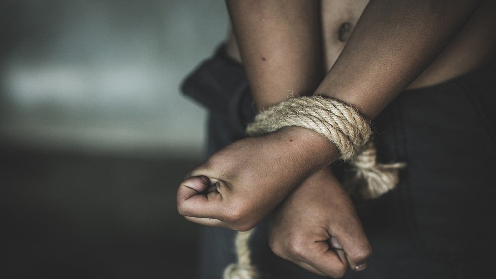 Army rescues kidnapped person and dismantles smuggling gangs