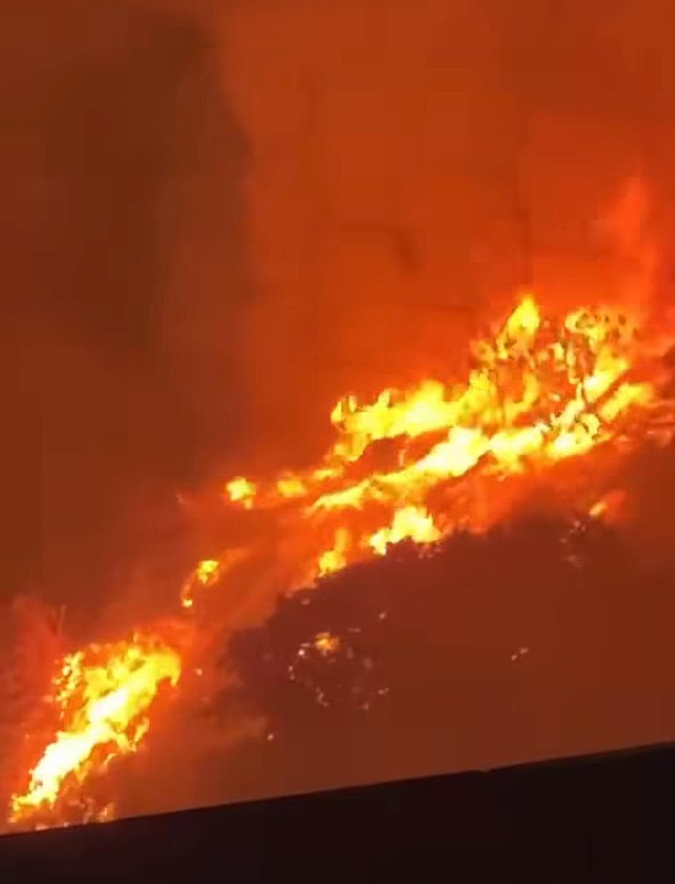 Ras Meshqa Forest Fire Under Control