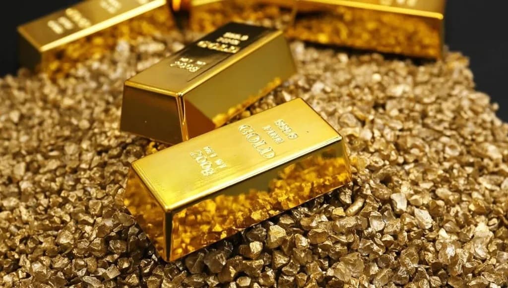 Video shows fake gold sale