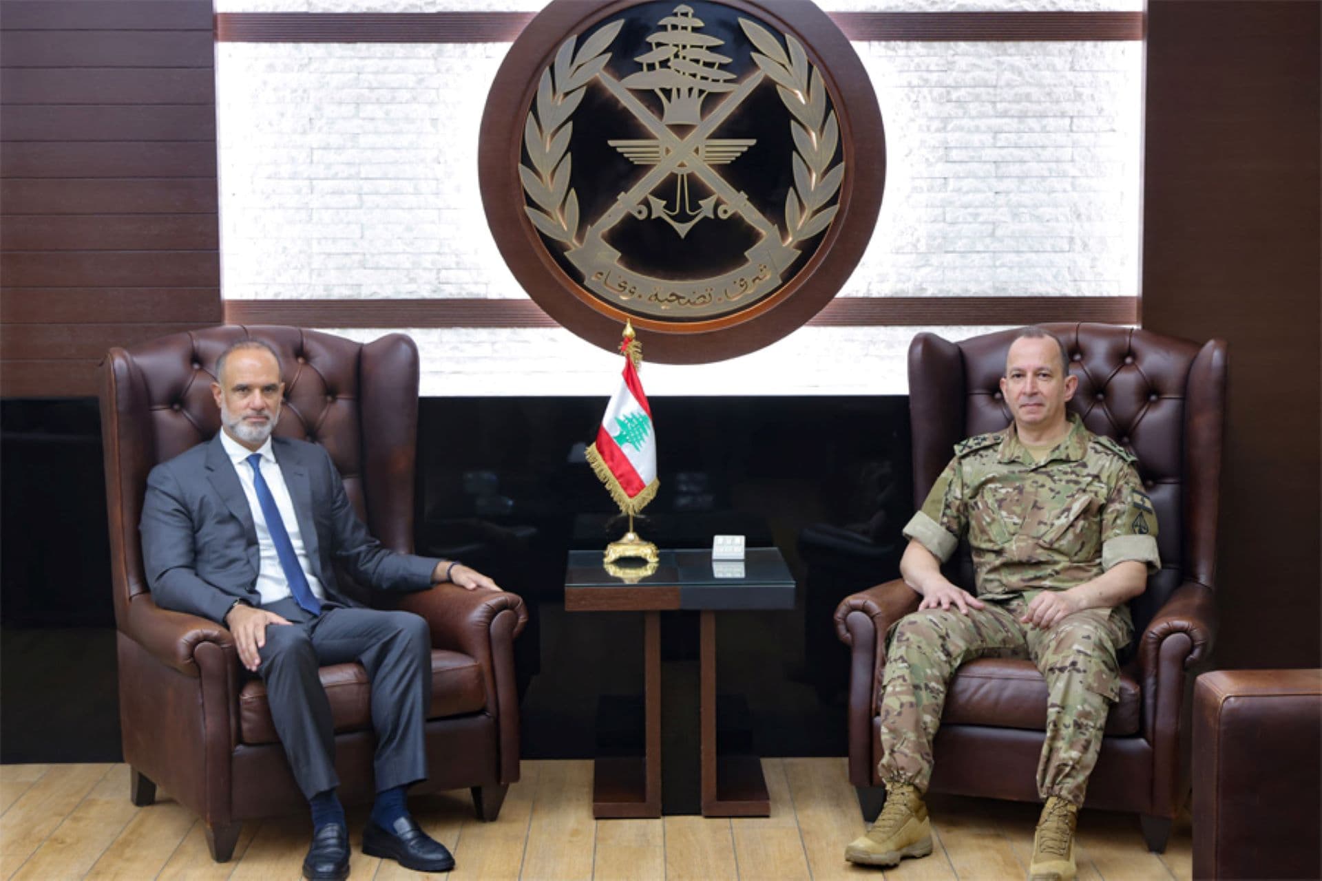 Illustrator commends Lebanon's military efforts