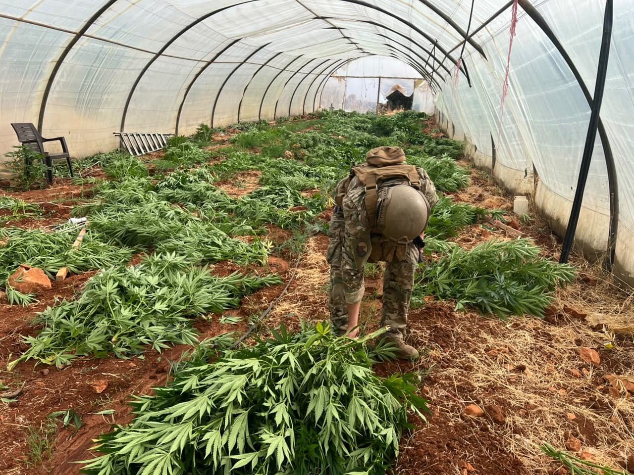 Army Seizes Drugs and Arrests Syrians in Baalbek
