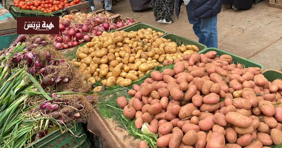 Consumer prices rise slightly in Oujda in June