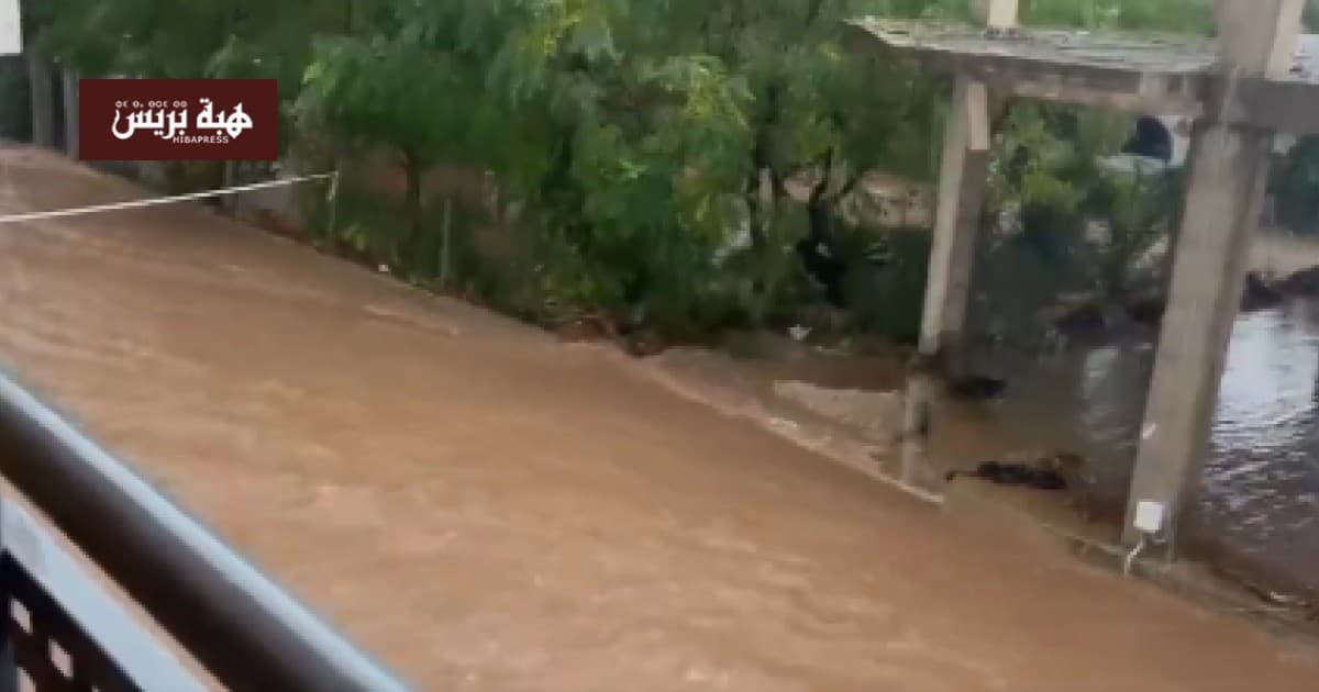 سيول تشمل مناطق في إسبانيا