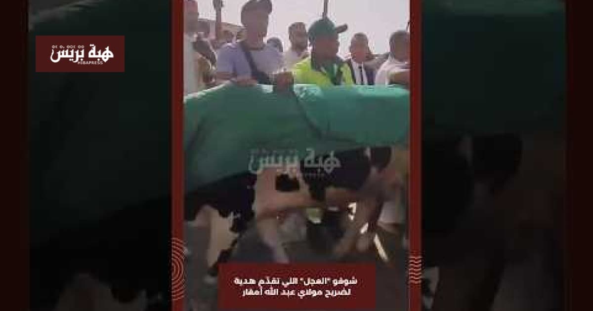 Horse Donates Gift to Moulay Abdellah Shrine