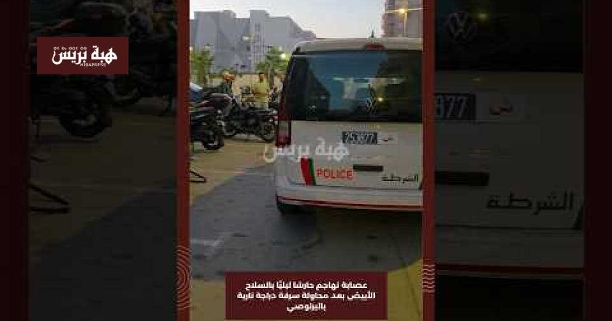 عصابة تهاجم حارسًا بسلاح أبيض في البرنوصي