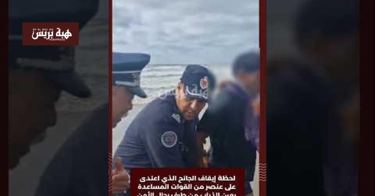 Security arrests attacker in Ain Yaachib