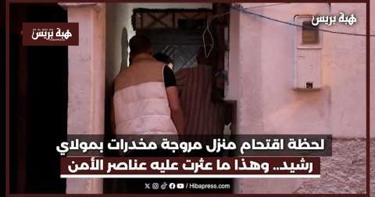 Raids arrest drug dealer and seize large quantities