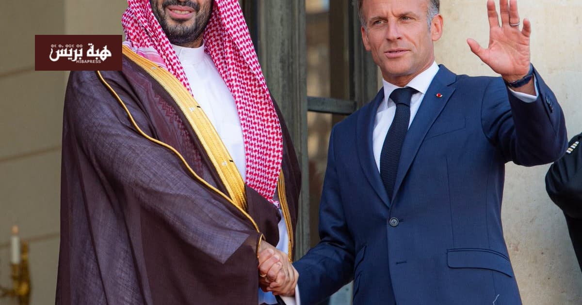 Saudi invests $7B in France parks