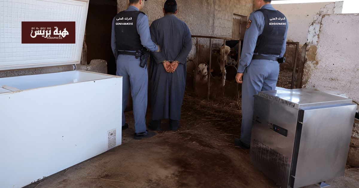 Jerfsa: Gendarmerie uncovers stable activity