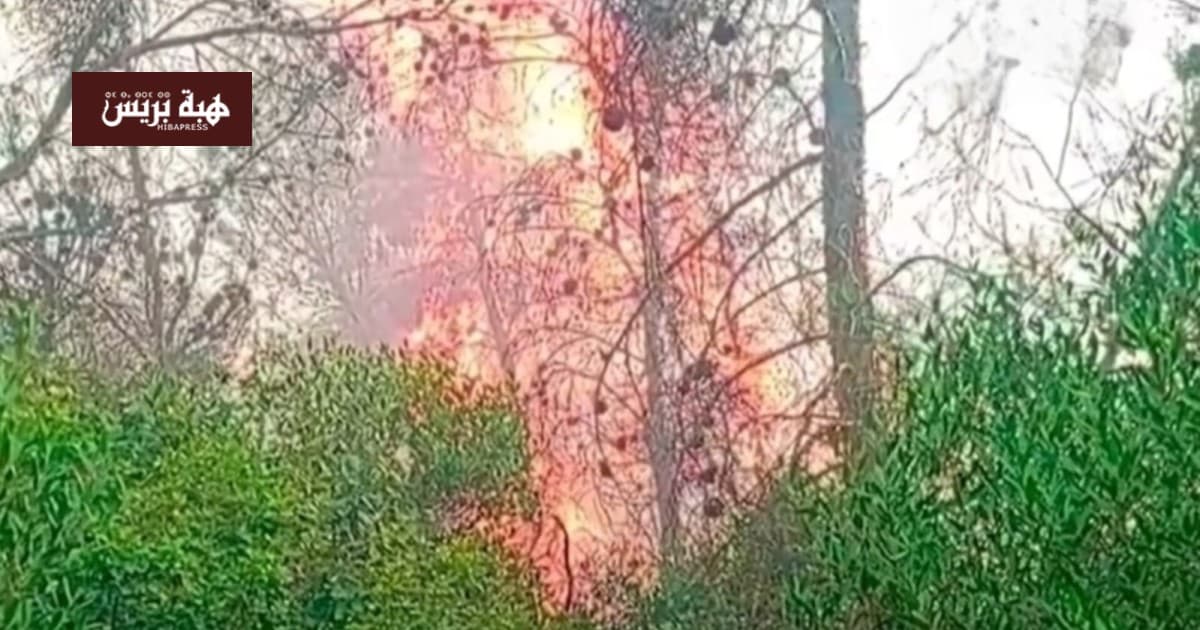 الجزائر تواجه "جحيم الصيف" مع جهود لمكافحة 101 حريق غابات وخسائر بشرية ومادية