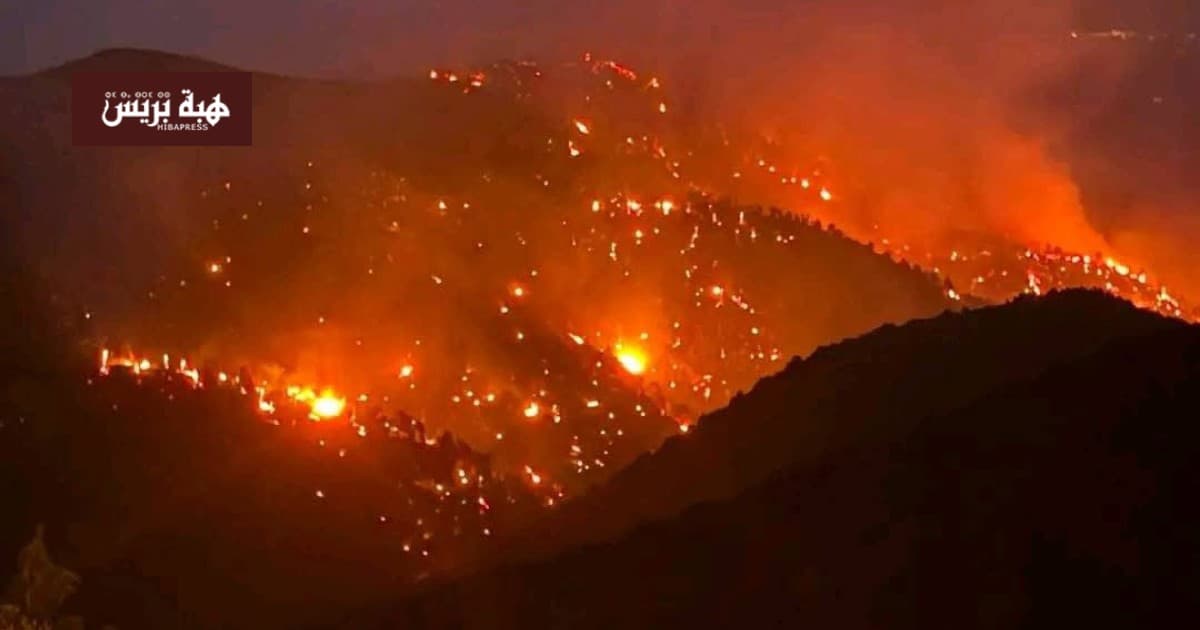 Fires Spread Across Wijdan Forest in the Ourika Valley