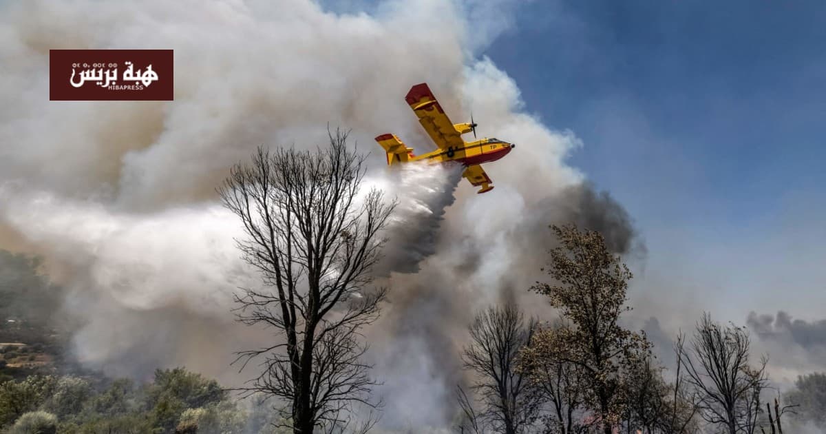 Taroudant Forest Fires Continue Amid Ongoing Efforts without Final Tally