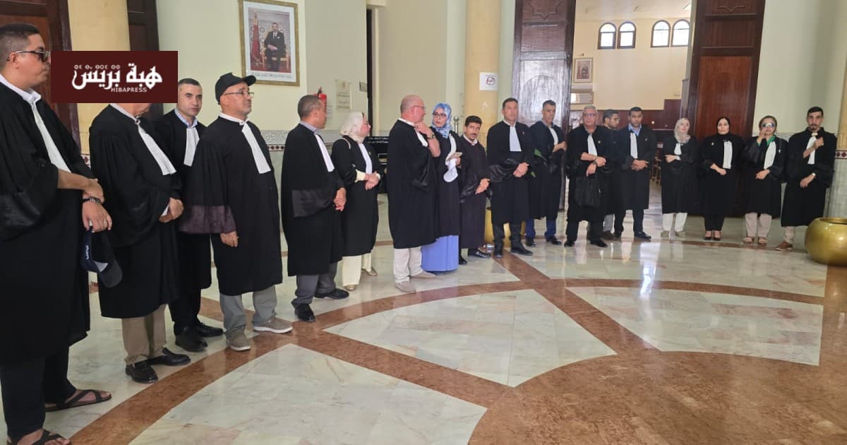 محامو جرسيف وتازة يرفضون مجددًا مشروع قانون المهنة ويحتجون أمام المحكمة الابتدائية