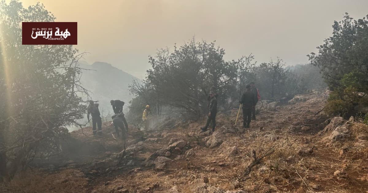 Azilal: Most of Inferka Forest Fire Contained