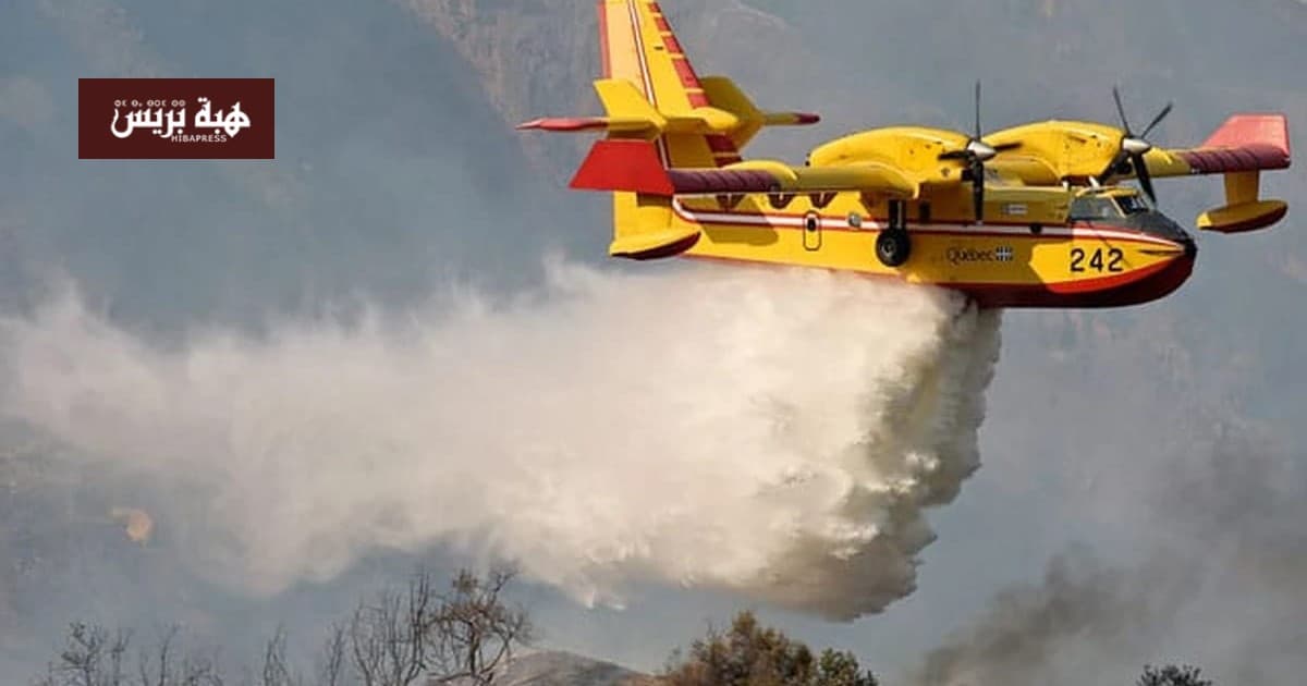 Morocco Wildfires Decline by 30%