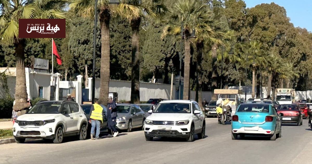 Tangier proposes parking guard license limits