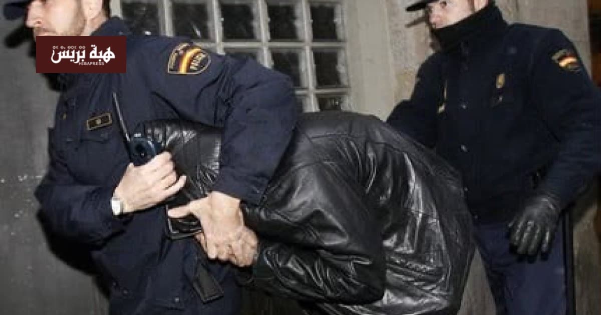 Melilla security dismantles fraud ring