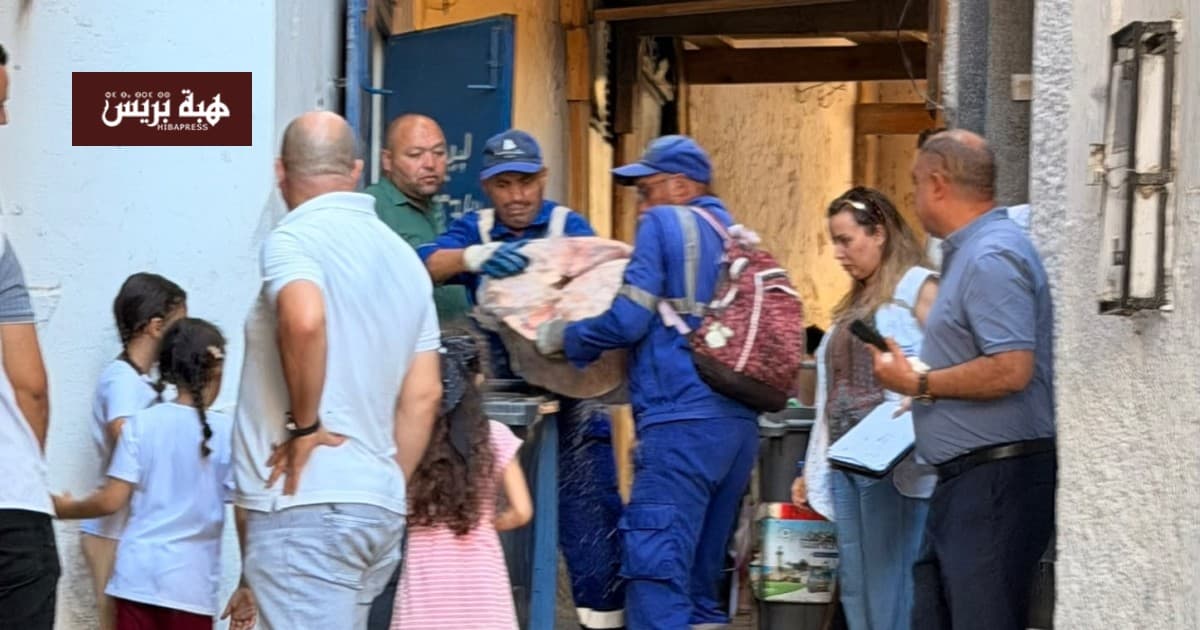 Tangier seizes 400kg spoiled food