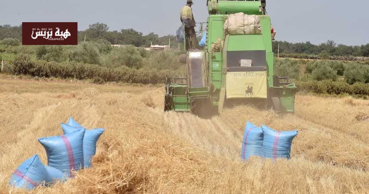 فلاحو دكالة يشتكون من نقص آلات الحصاد