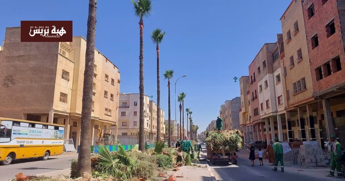 مجلس بادل يعيد إحياء المساحات الخضراء في برشيد بعد تراجعها في عهد القادري