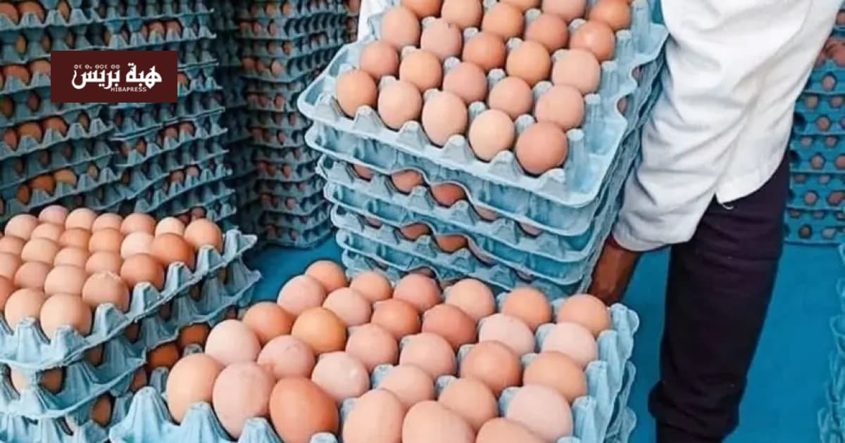 البيض في الدار البيضاء يسجل ارتفاعا مجددا
