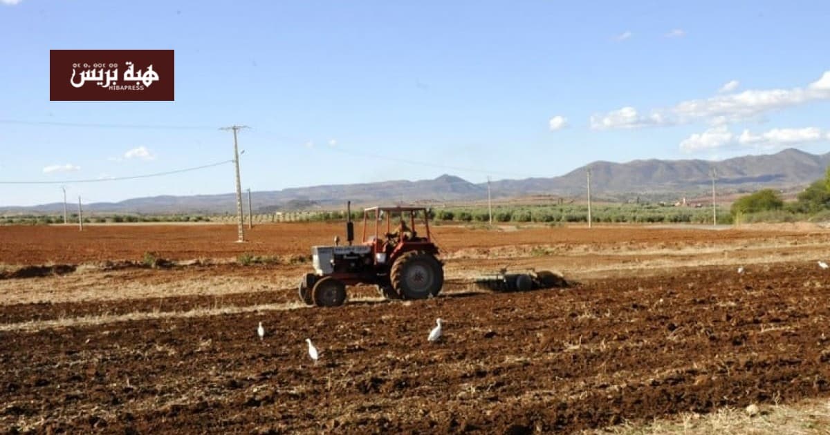 Farmers Start Plowing as Rain Approaches