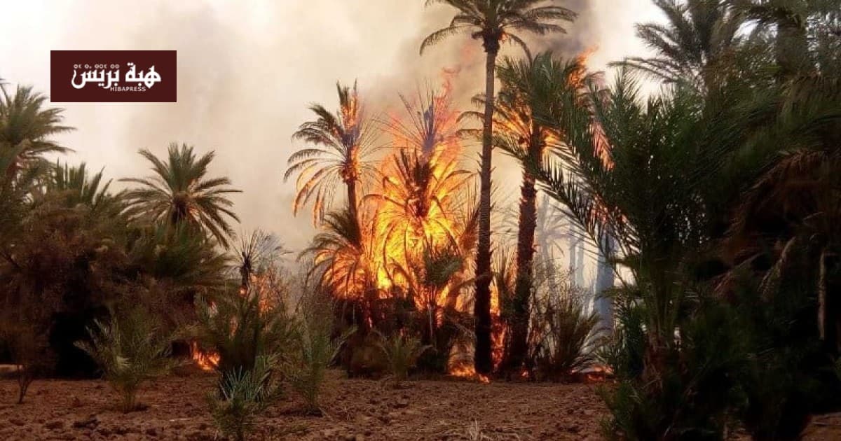 حريق يهدد واحة المكاترة في زاكورة