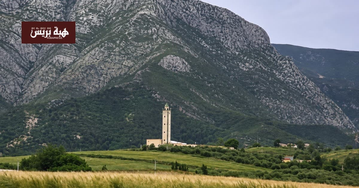 الناظور أموال تعبيد أركمان مطالب السكان