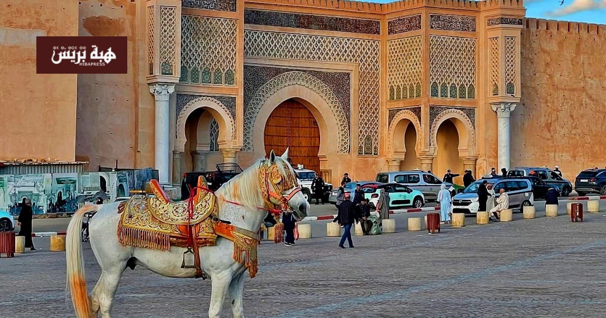 مكناس تفتح صفحة جديدة بعد الانتخابات