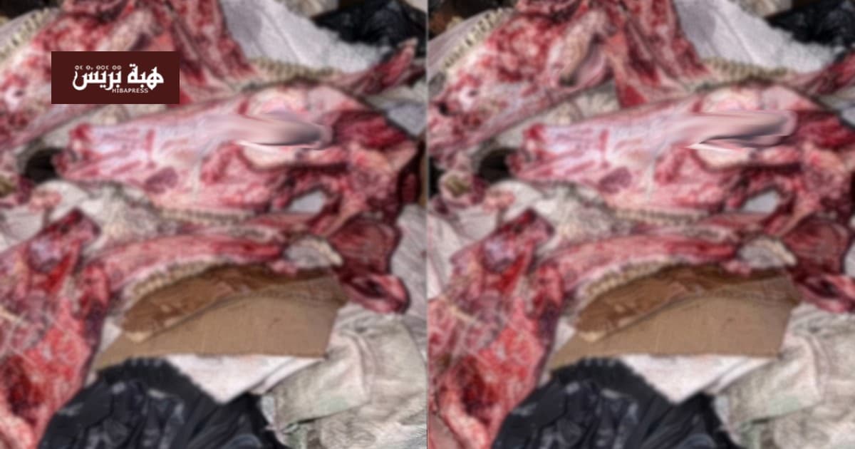 Bones found near Nador raise concerns
