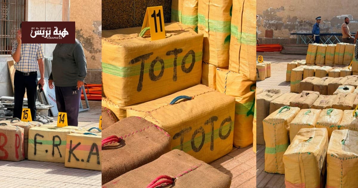 Safi Seizes 4.89 Tons of Hashish