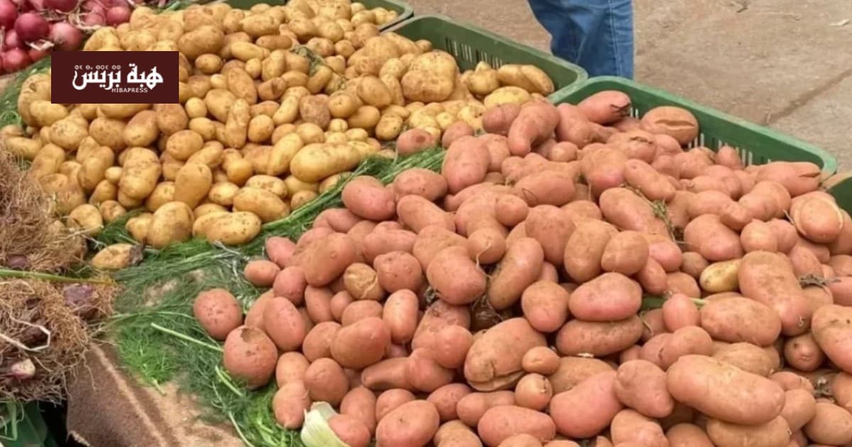موسم استثنائي لواردات البطاطس في المغرب