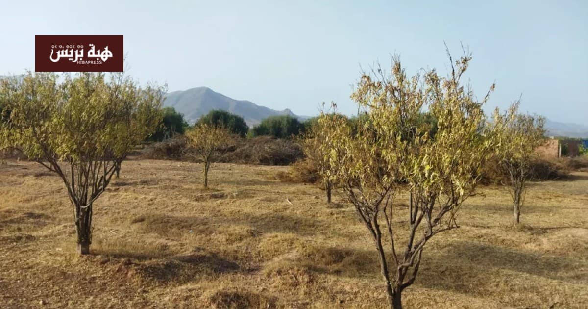 فلاحو صبرا يطالبون بحبة مائية لزرعهم