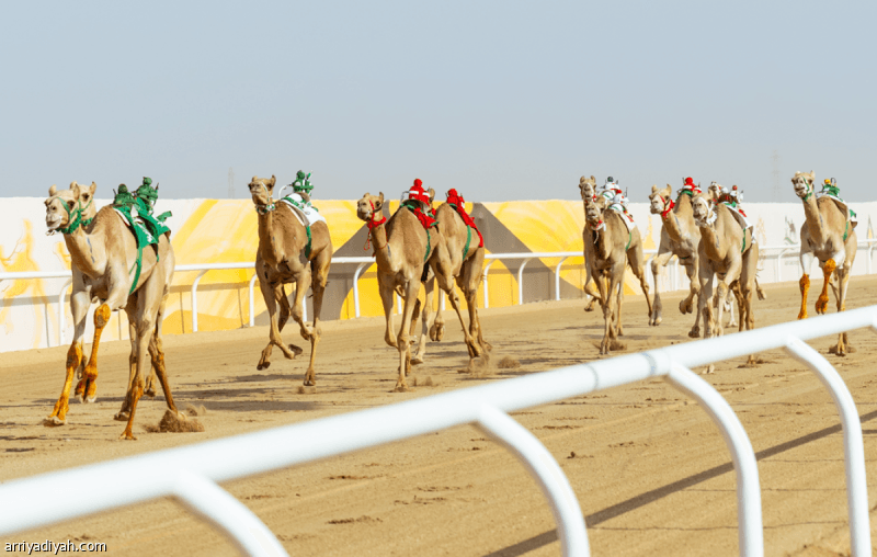 Al-Jadha' begins with 38 races and large prizes