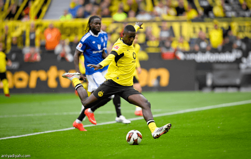 Dortmund defeats Hamburg with double score