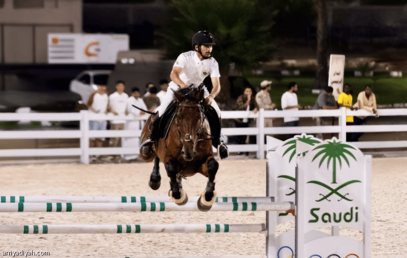 Taif Races Second Week Events