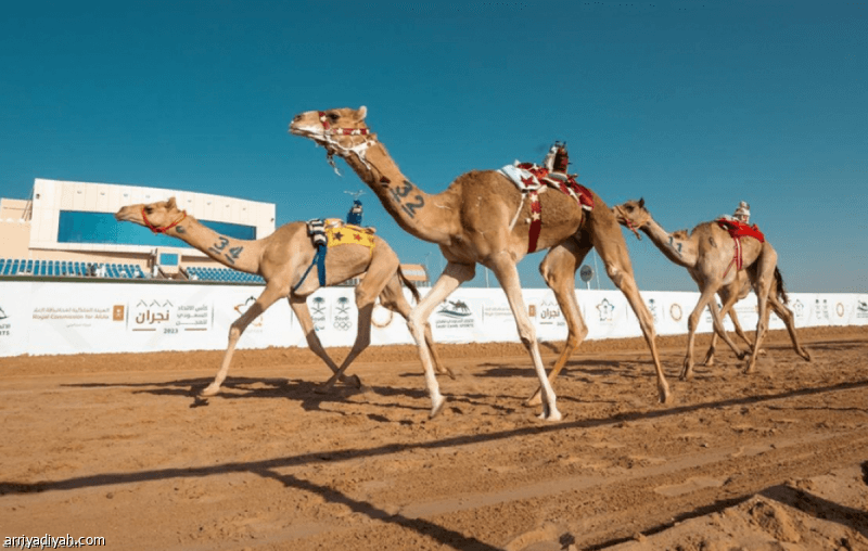 سباق سن المفاريد يبدأ السبت