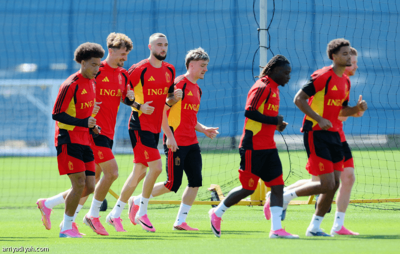 The Distant Stars: The Secret Behind Belgium's Success in the World Cup