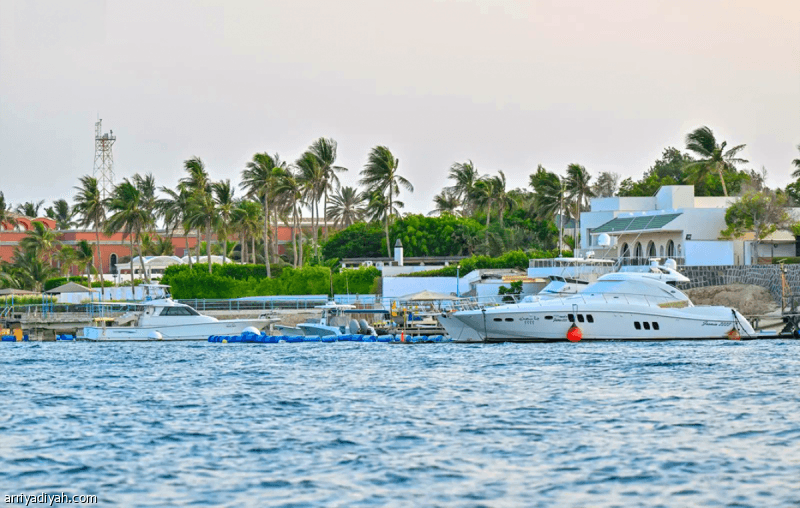 Marassi Abhar: Jeddah's Coastal Future
