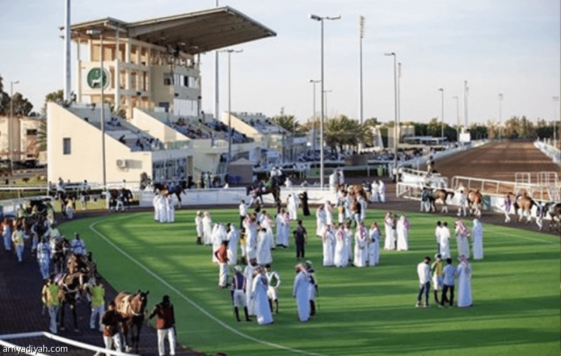 Taif races commence with eleven heats