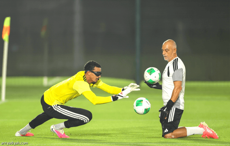 Sunglasses Aid Saudi Goalkeeper