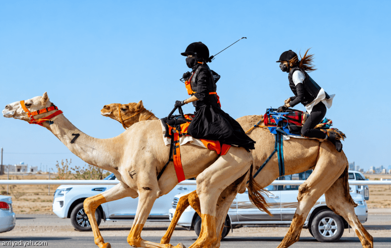Al Harqan Club marks National Day at Al Janadriyah