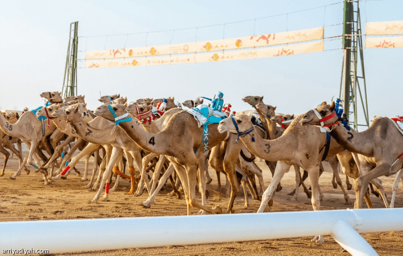 Registration opens for Crown Prince horse heats