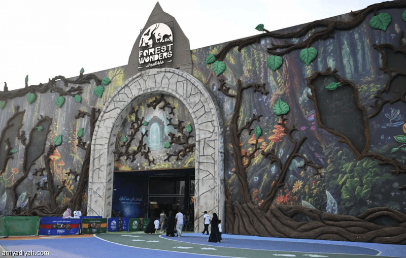 Jeddah Summer Entertainment Highlights