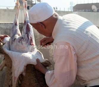 فساد الأضاحي يفضح الترقيم