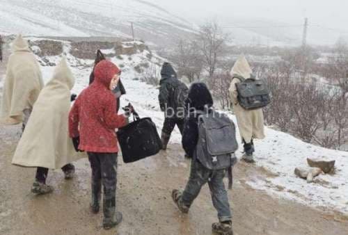 Mountain Alliance Seeks Fair Political Deals