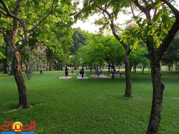 Casablanca Gradi Funds Probe