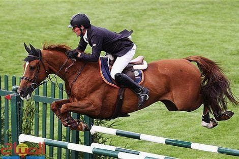 Moroccan Riders at World Equestrian Championships