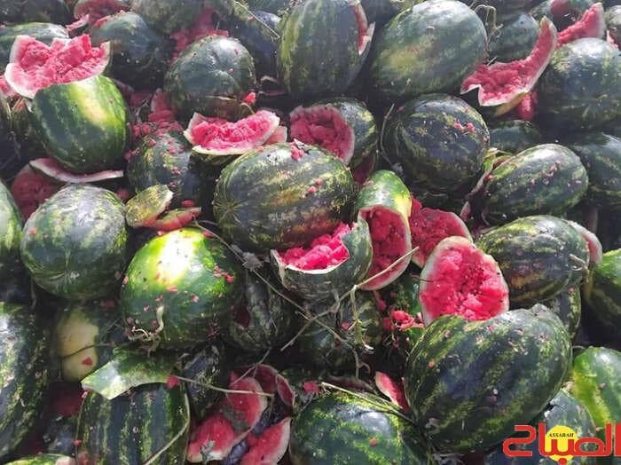 Seasonal Fruits Abundance Lowers Prices in Wholesale Markets, says Al-Sabah Newspaper